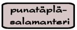 Punatäpläsalamanteri